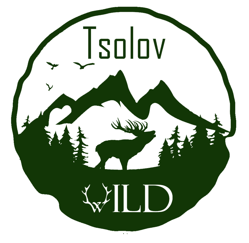 Tsolov  Wild